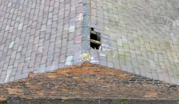 roof surveys